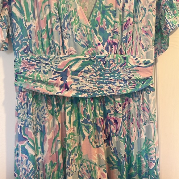Beautiful LP size large dress. Gathers at waist. Worn twice. - Picture 4 of 4